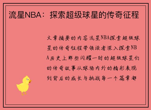 流星NBA：探索超级球星的传奇征程